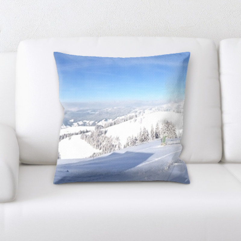 Microsuede Reversible Throw Pillow