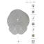 Tapis Caillen-1012210973