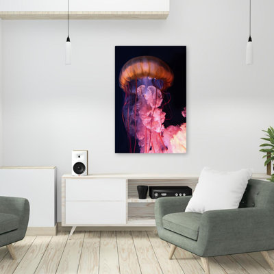 Gelly - photographie d'art animalier