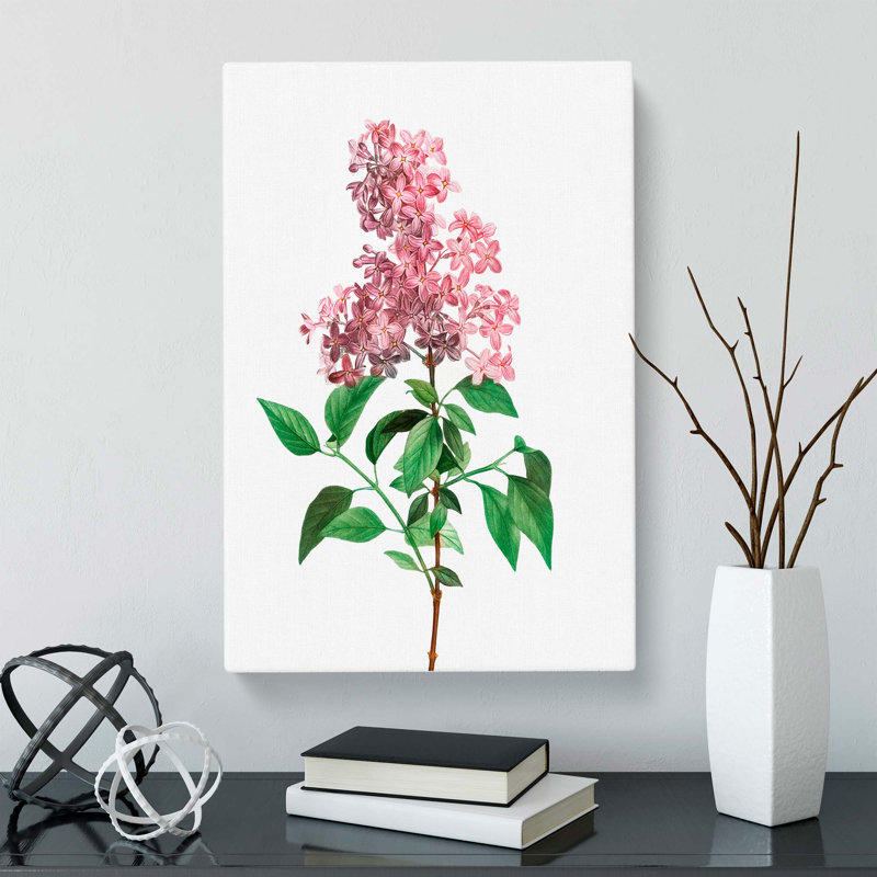 Chinese Lilac Flowers by Pierre-Joseph Redoute - Wrapped Canvas Painting, 76cm H x 50cm W x 3cm D
