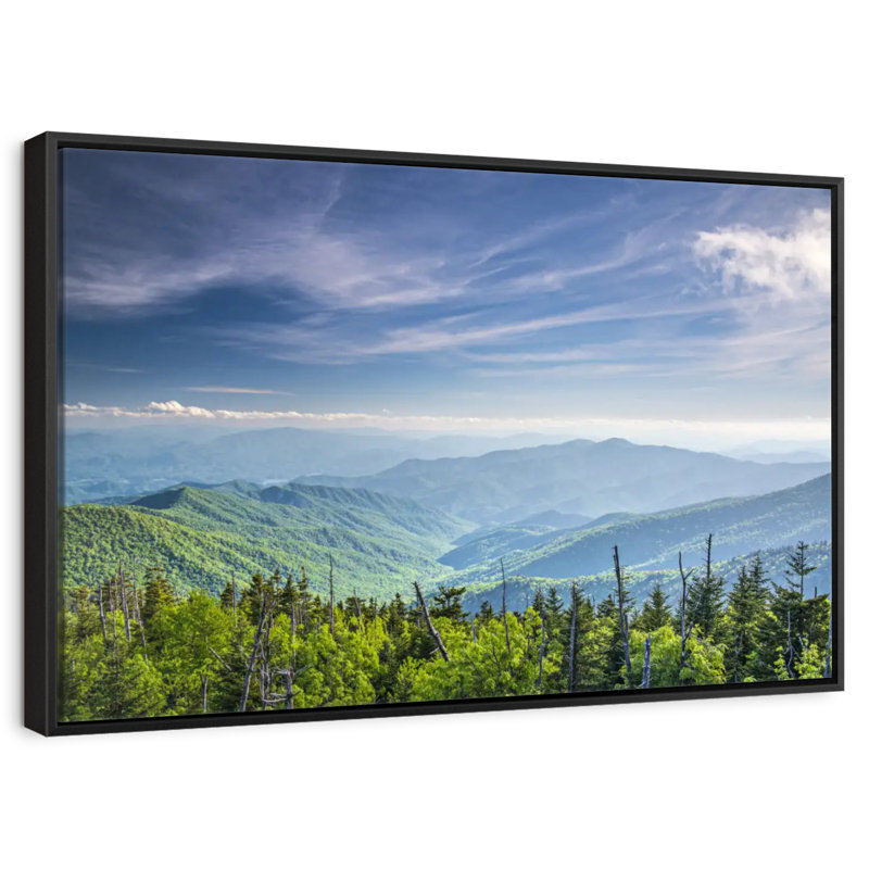 Clingmans Dome, paysage de montagne, Cadre flottant noir, 43 po x 29 po