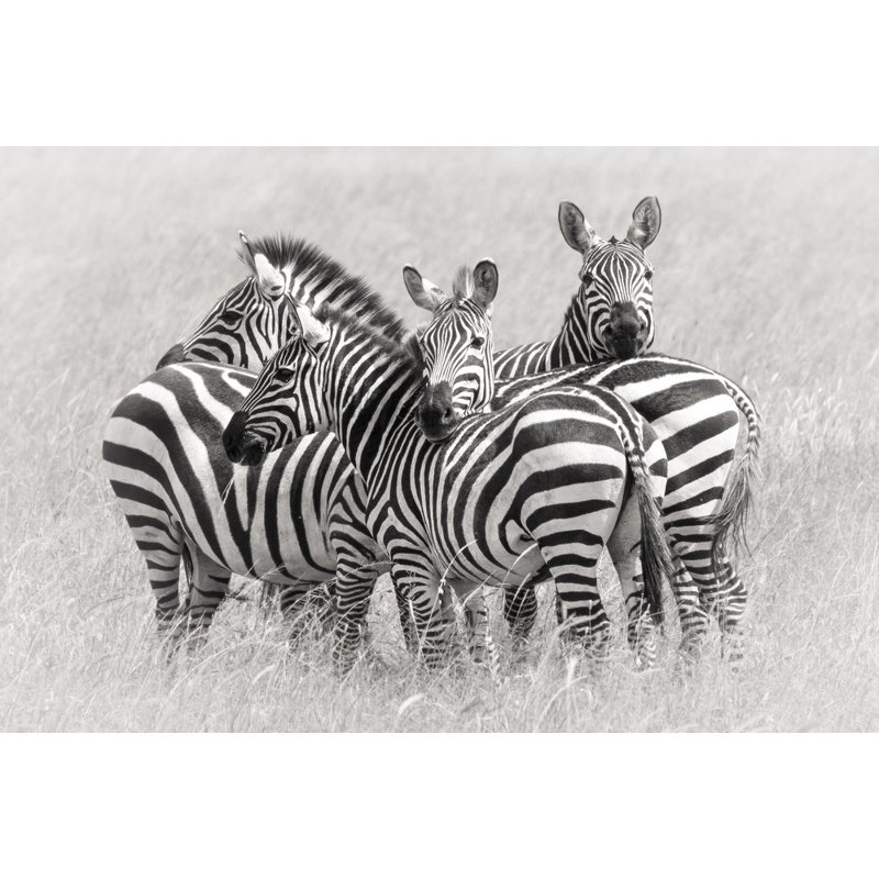 Wrapped Canvas Print, 50.8 cm H x 76.2 cm W