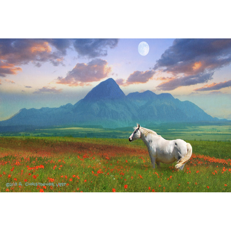 «Horse in Flowers II» par Chris Vest - impression sur toile tendue, H 24 po x l 36 po