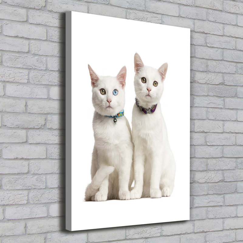 Two White Cats - Wrapped Canvas Print