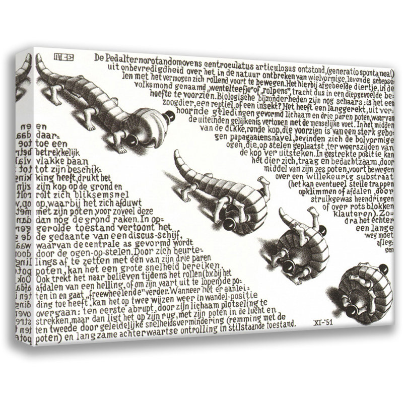 «Curl Up» par M.C.Escher, toile tendue avec châssis, H 17 po x l 24 po
