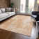  Caseville Area Rug