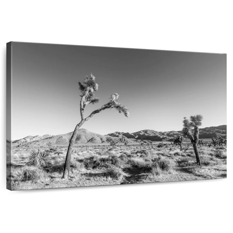 Harnek Joshua Tree National Park, monochrome, H 8 po x l 12 po
