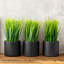 Herbe artificielle à feuilles persistantes en pot-906720105