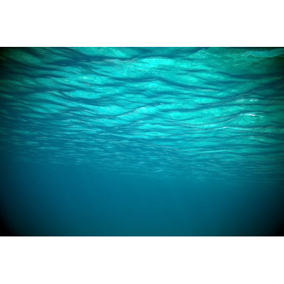 Ocean View - Wrapped Canvas Print