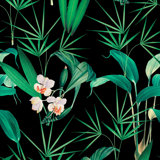 Palm Springs Floral Wallpaper Roll