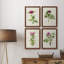 «Pretty Pink Botanicals II», toile encadrée de qualité supérieure - prête à être accrochée-1603343132-1603343133