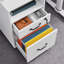 40cm Wide 2 -Drawer Mobile File Cabinet-1885845600