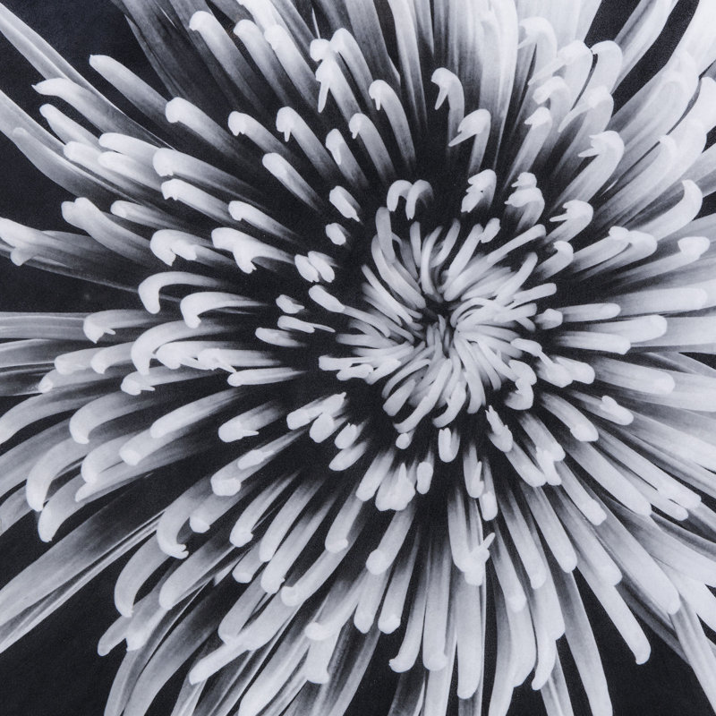 Black And White Flower Epoxy A Print