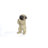 Pug Puppy Statue Praying