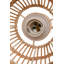 1 - Light  Pendant