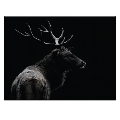 Print on Canvas