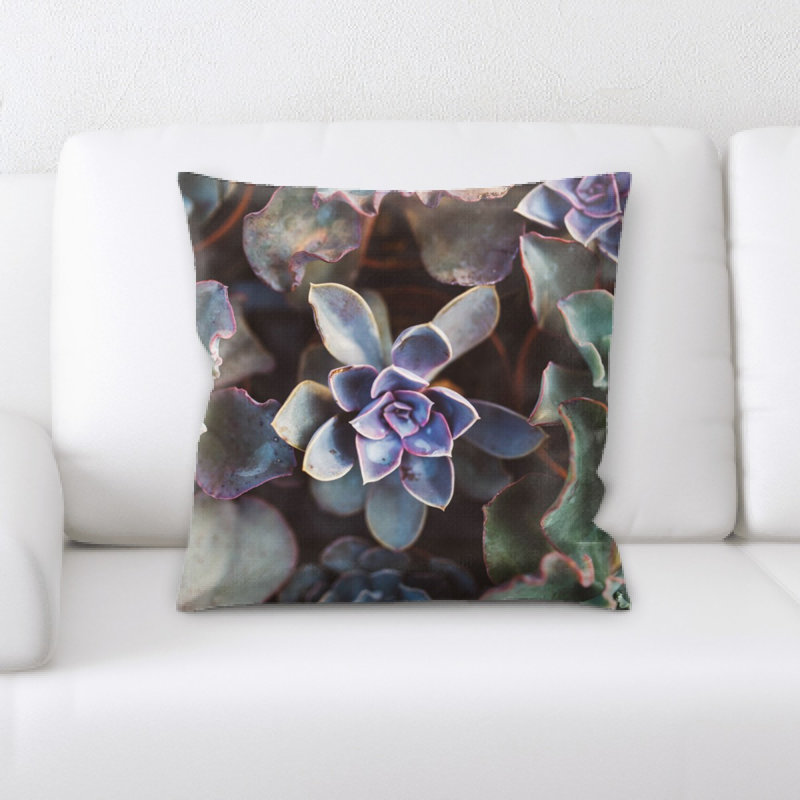 Coussin succulent
