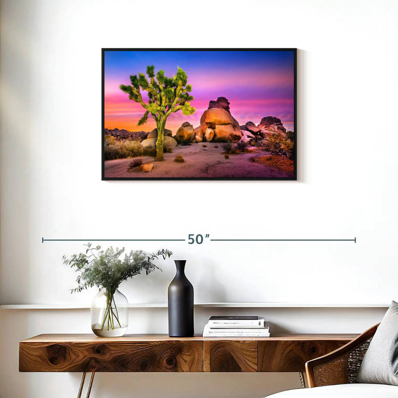 Joshua Tree National Park IV, 31 po x 21 po, Cadre flottant noir