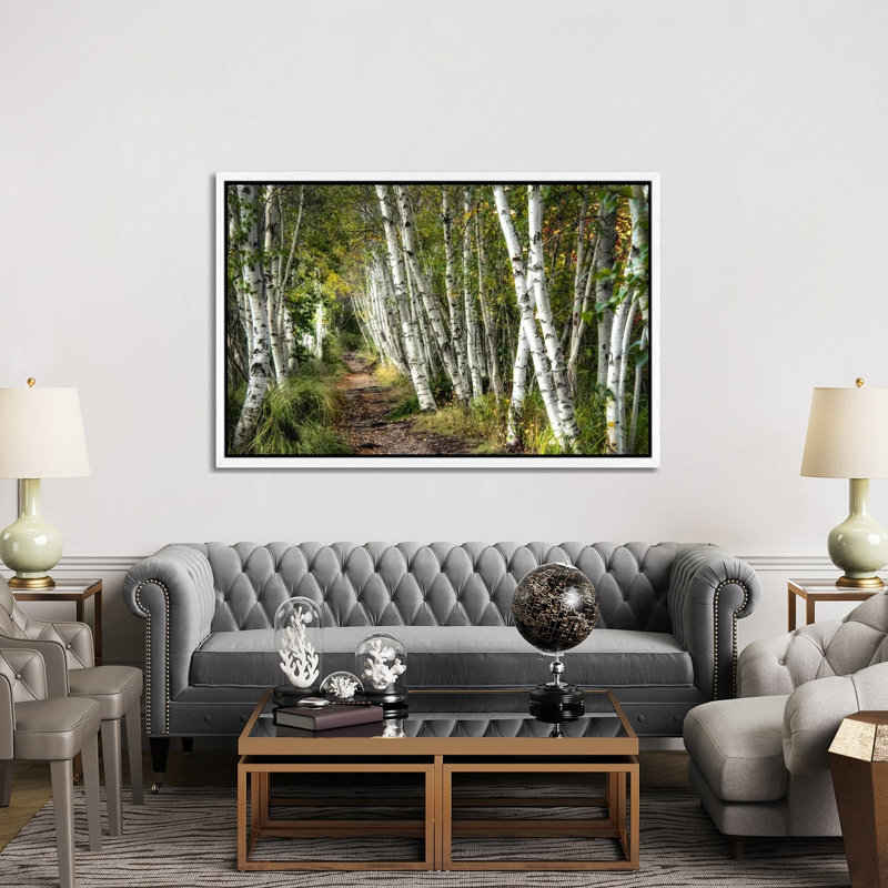 A Walk Through The Birch Trees by Danny Head - Print on Canvas, White Framed, 152.5 cm H x 101.5 cm W, White Framed