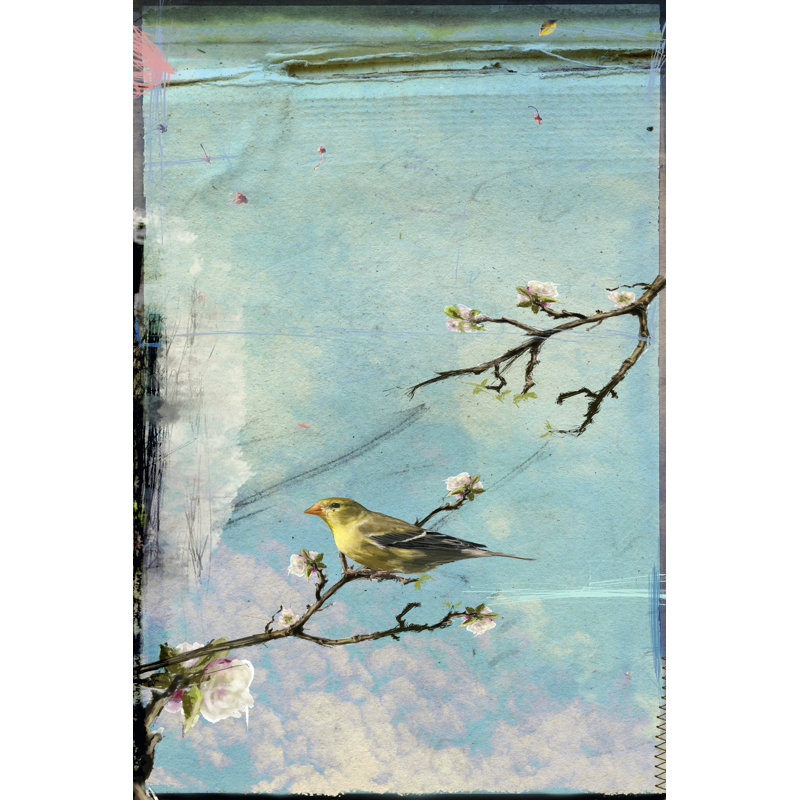 Bird Window II by Ingrid Blixt - Wrapped Canvas Painting, 46cm H x 30cm W x 3.8cm D