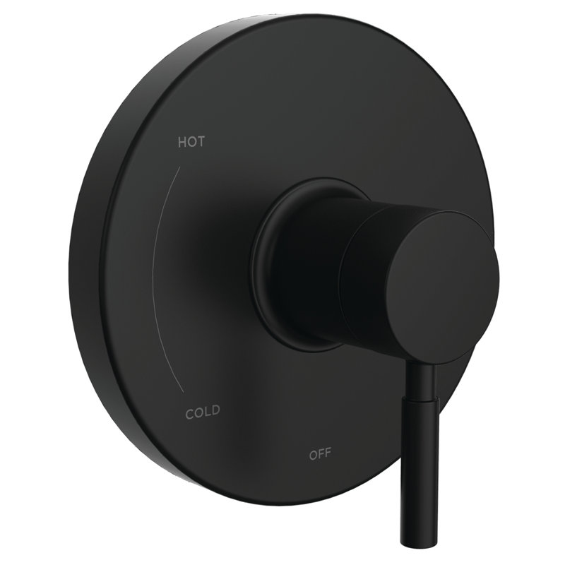 Neo Shower Valve Trim