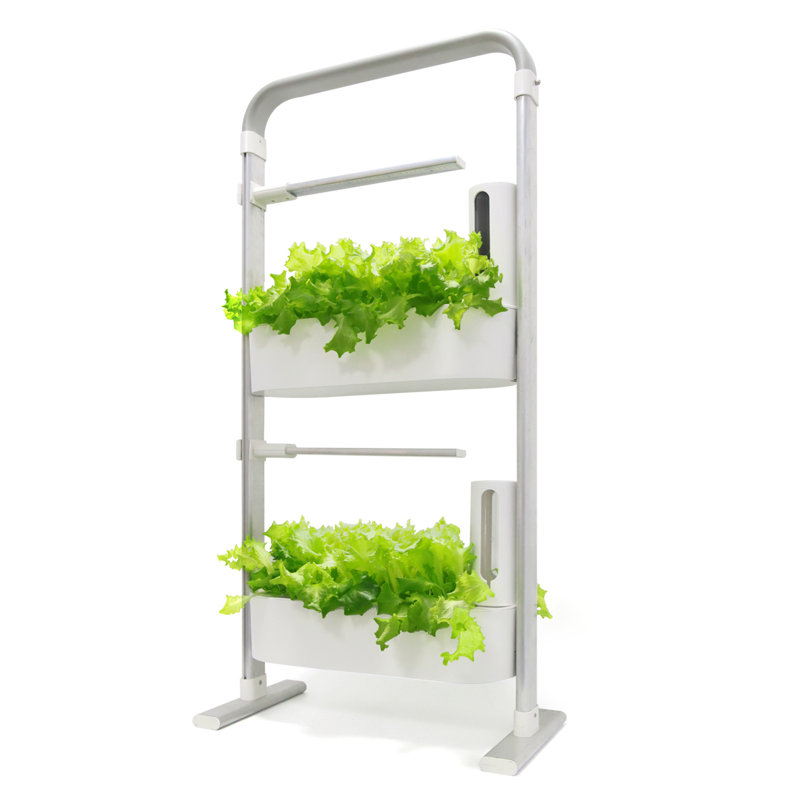 Ensemble de système de culture d'intérieur avec 40 gousses de culture d'intérieur - Système de jardinage d'intérieur à 2 niveaux avec lumière à DEL à spectre complet avec minuterie automatique - Ensemble de jardin pour légumes, fruits ou herbes par Pure Garden