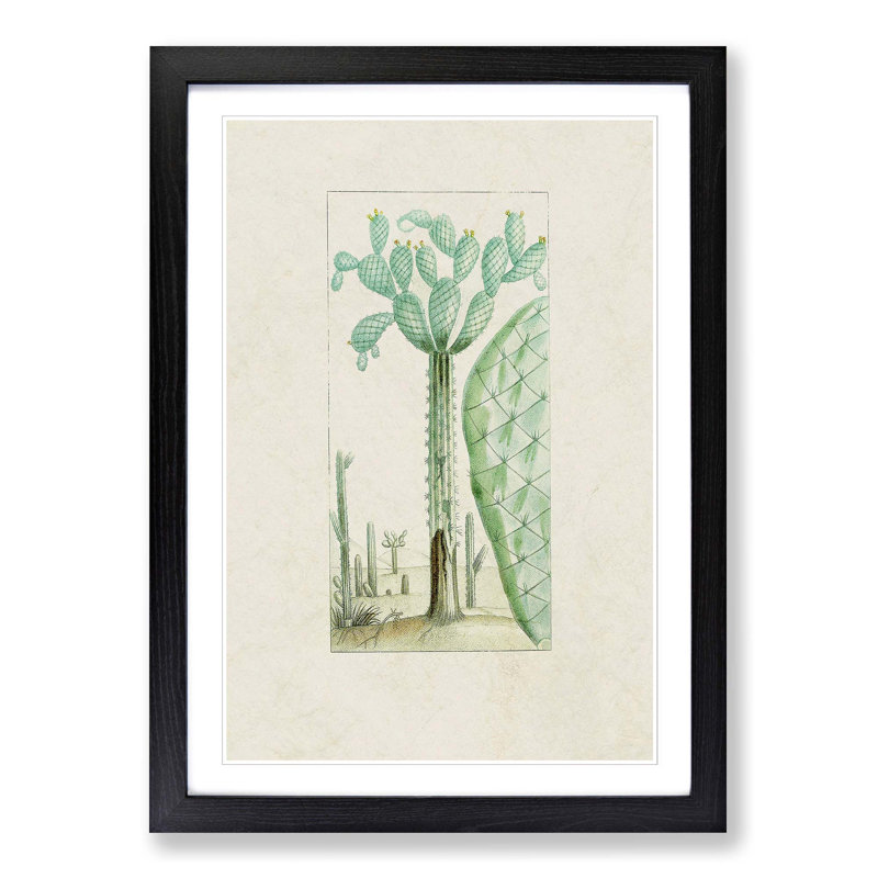 Cactus Illustration - Picture Frame Painting Print, Black Framed, 36cm H x 27cm W x 2cm D