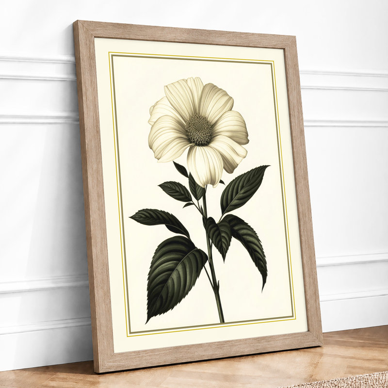Classical Study Botanical - Framed Print, A4 - 29.7 x 21.0 cm, Oak