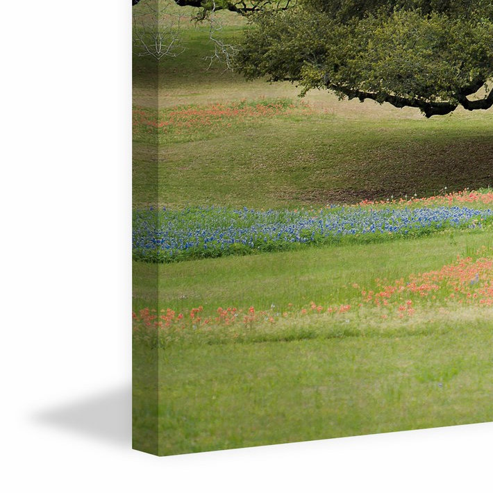Wrapped Canvas Print, 30cm H x 45cm W