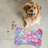 Colorful Glass Patterns - 1 Piece Bone Shape Feeding Mat-101343433