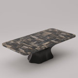 Arboresce Petrified Wood Coffee Table
