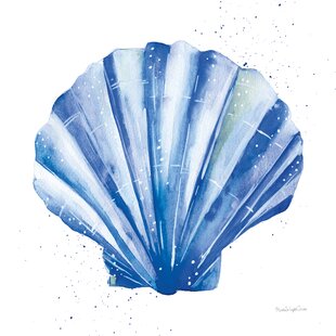 A beautiful seashell or scallop shell is toned in a blue-pink