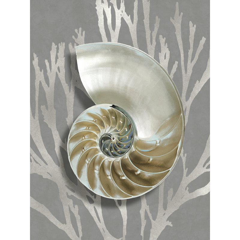 «Shell Coral Silver on Grey II» par Caroline Kelly - reproduction d'art sur toile tendue, H 16 po x l 12 po