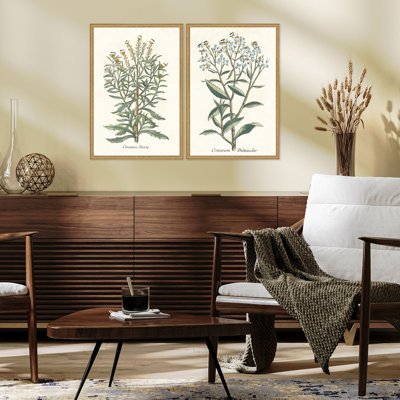 " Botanical Plants I S/2 " by Giclee Studio 2 - Pieces