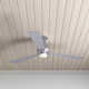 52'' 3 Blade Ceiling Fan with LED Light Kit