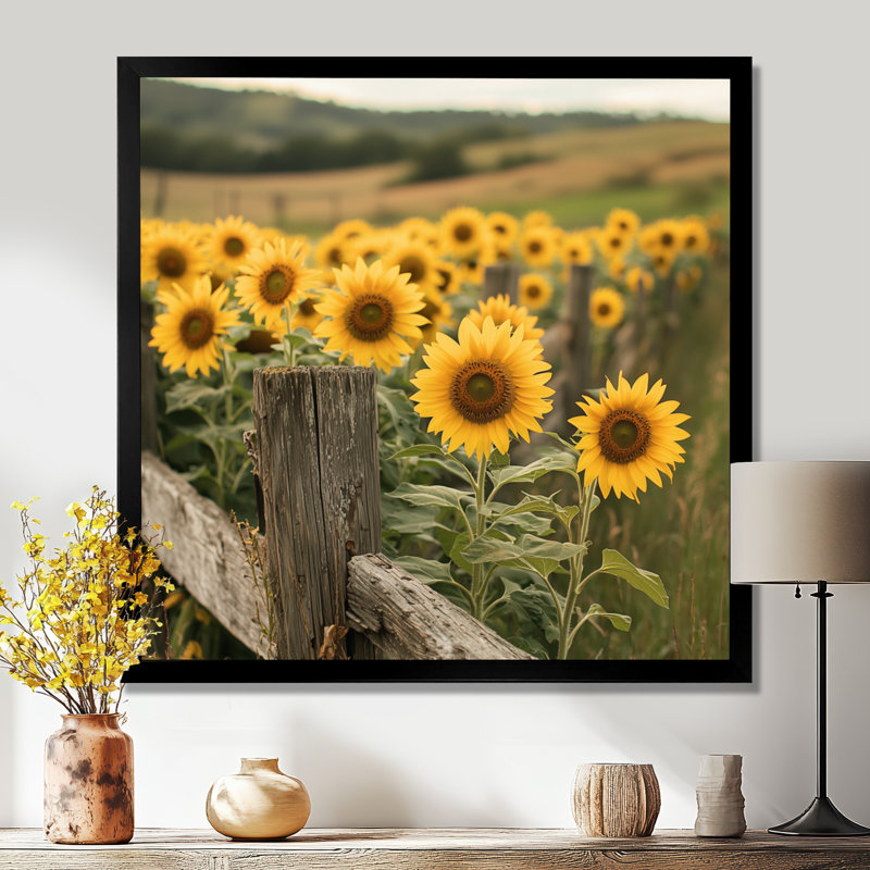 Doro Sunflowers Beside The Farm Fence IV - Art mural tournesols, Reproduction encadrée d'une seule photo, H 16 po x l 16 po