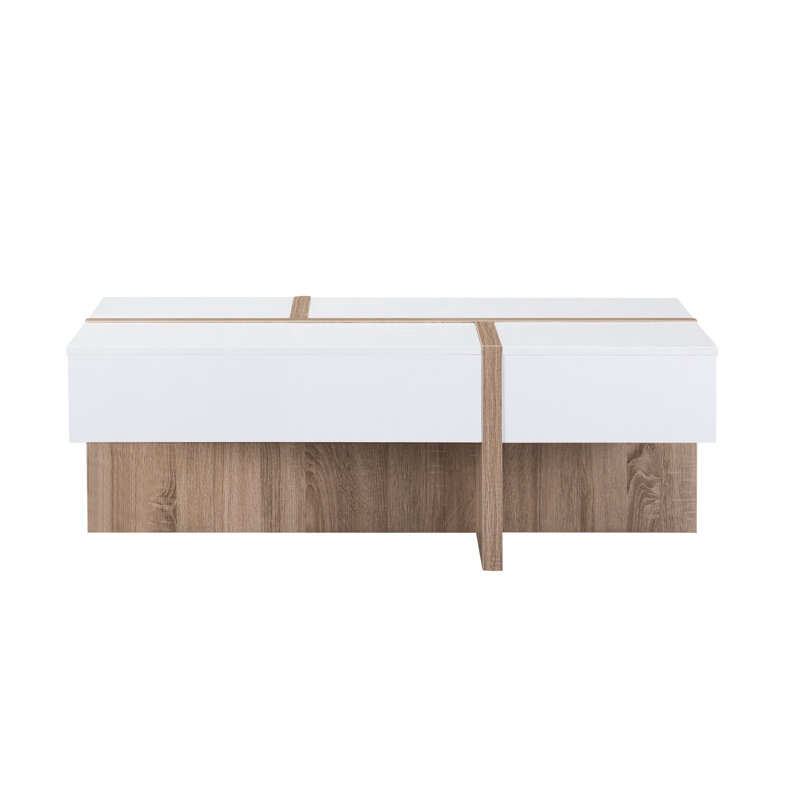 Winon Block Coffee Table with Storage