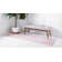 Rizo Oriental Indoor Rug