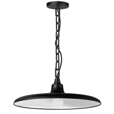 Dillsboro 1 - Light Pendant