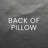 Schubert Decorative Throw Pillow-64124089-114597991