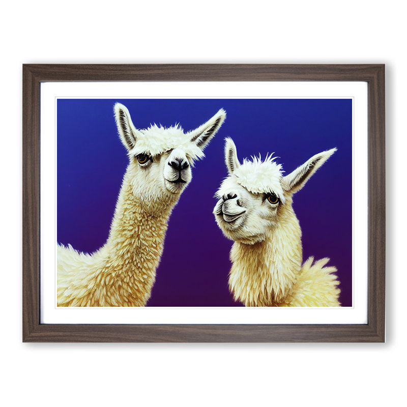 Thrilling Llamas - Single Picture Frame Print, 25cm H x 34cm W x 2cm D, Walnut Framed