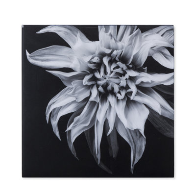 Black And White Flower Epoxy F Print