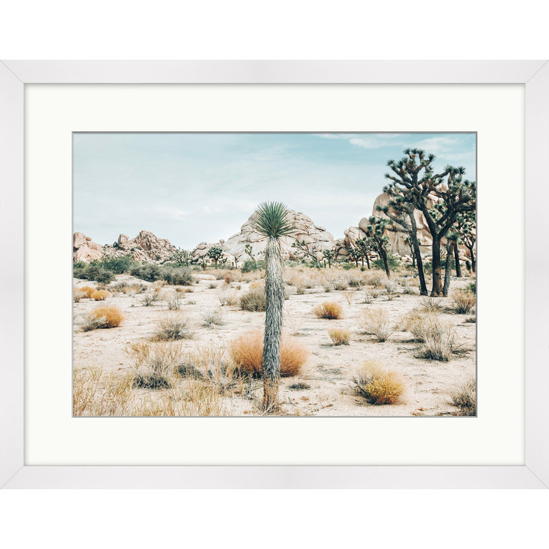 View Of Joshua Tree Print, White Framed