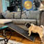 Banc-rampe pour animaux de compagnie Barkley avec rampe rétractable pour chien - Avoine moisson-134285997