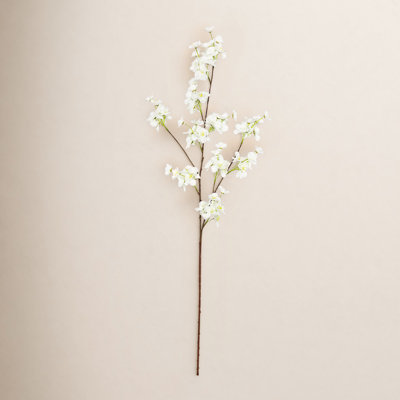 Cherry Blossom Stems