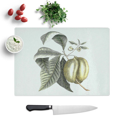 Tempered Glass Pawpaw Fruit by Mark Catesby Chopping Board