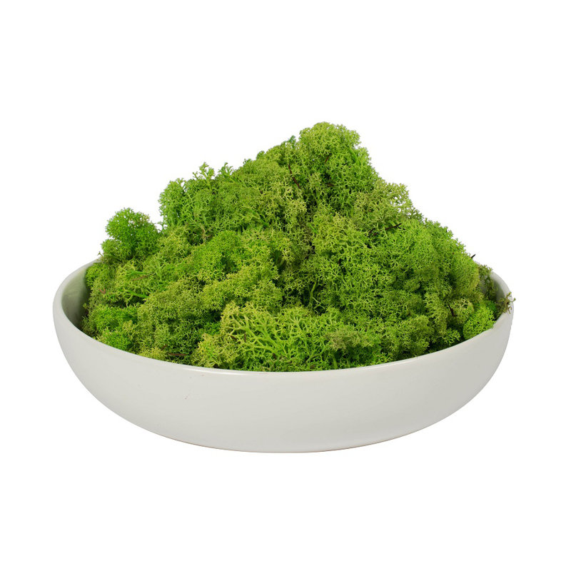 Faux Moss Plant, 9" H x 16" W x 24" D