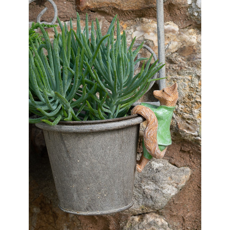 Cintre Beatrix Potter Mr Tod Pot Buddy