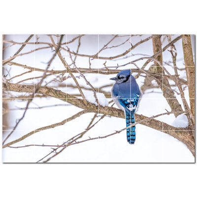 Bird Photo 4.25 in. x 4.25 in. Ceramic Decorative Mural