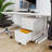 Ceha 2-Drawer Mobile File Cabinet with Lock-776436244